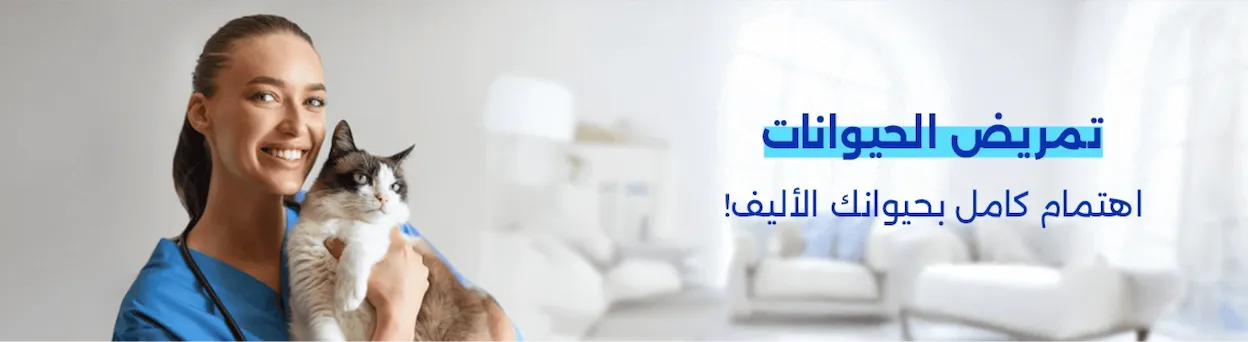 خدمة تمريض الحيوانات الأليفة مع دكاترة